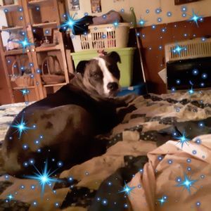 Meet your Posher, Tami